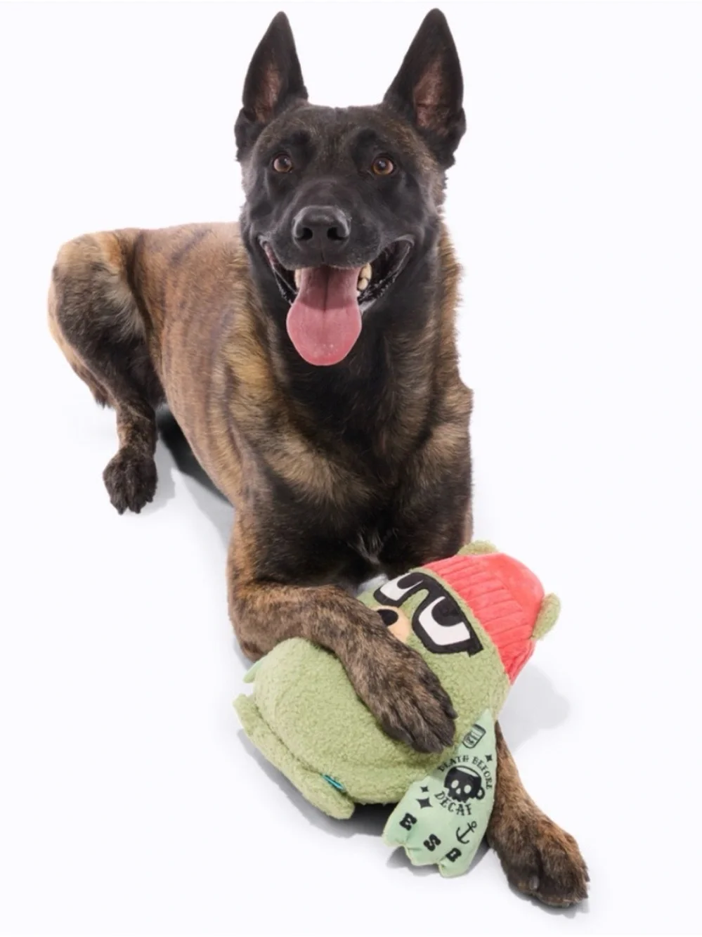 Bark Box XL Bearista death before decaf Giant dog toy NEW crinkle, squeak thrash